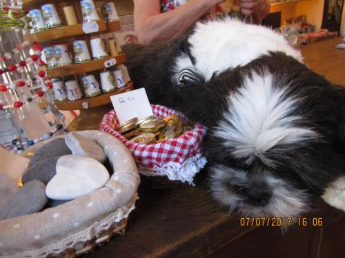 2 AS, 1 часть 565.JPG