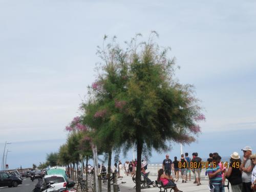 2GT 1 часть2016 2029.JPG