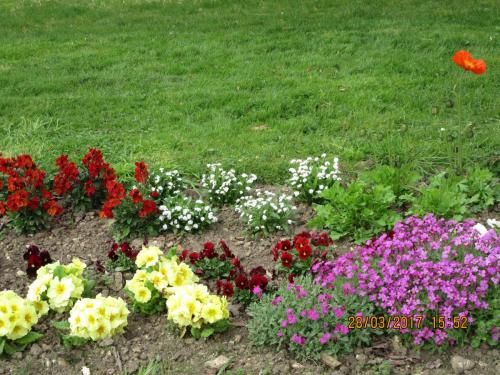 март, париж 1034.JPG