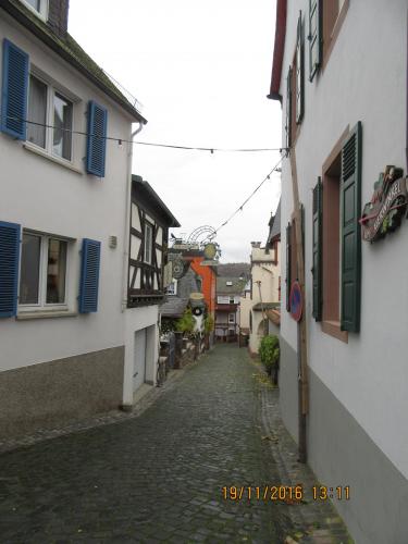 Божоле 2016 2177.JPG