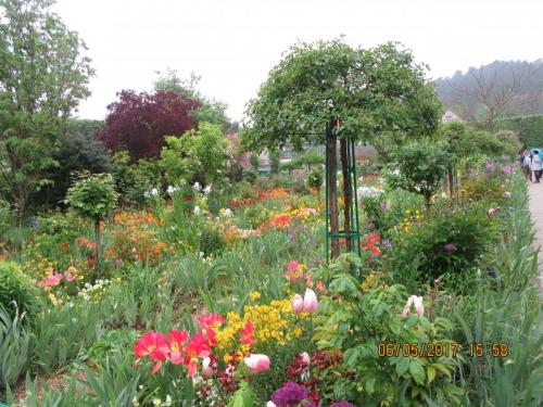 Нов. Ароматы 2 666.JPG