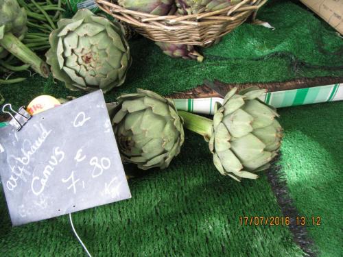 Великолепная Франция 2016 914.JPG