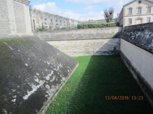 Ароматы, 11.04.2016 215.JPG