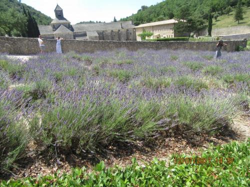 2 AS, 1 часть 2149.JPG