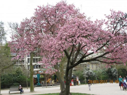 март, париж 1012.JPG