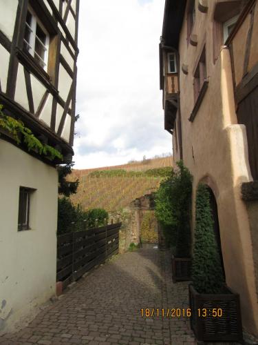 Божоле 2016 1755.JPG