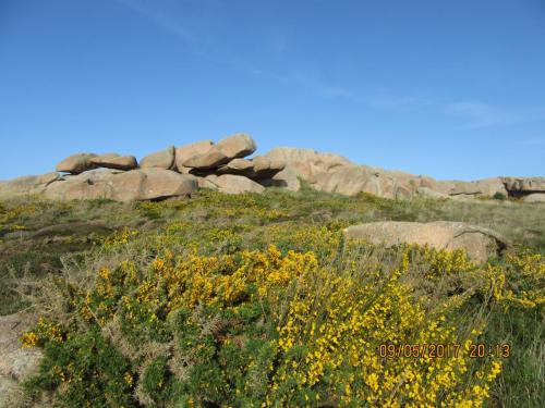 Нов. Ароматы 2 1979.JPG