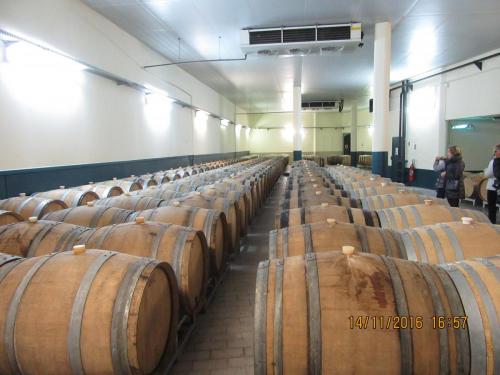 Божоле 2016 225.JPG