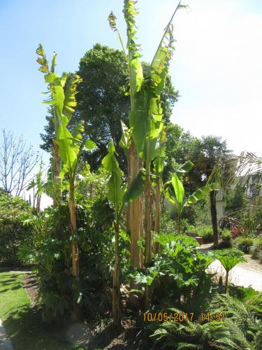 Нов. Ароматы 2 2191.JPG