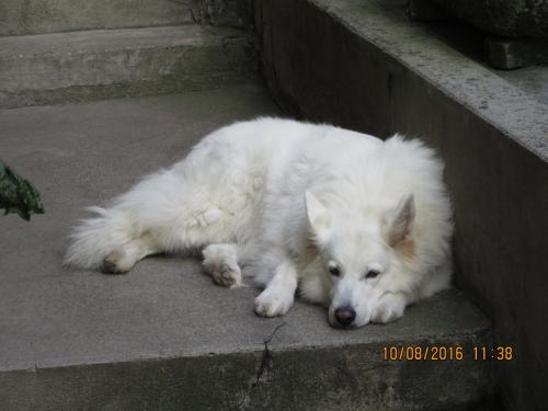 2GT 2016, 2 часть 1130.JPG