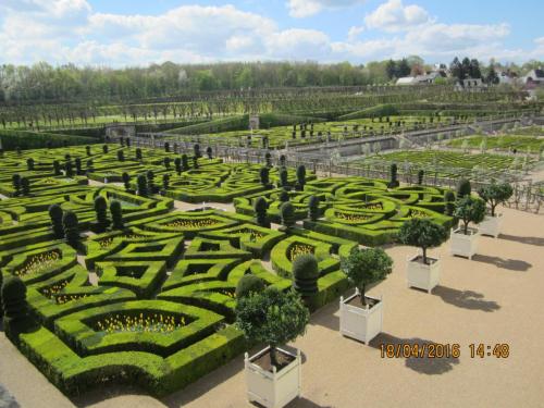 Ароматы, 11.04.2016 1263.JPG