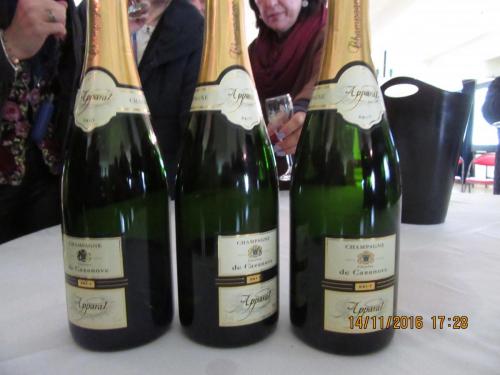 Божоле 2016 244.JPG