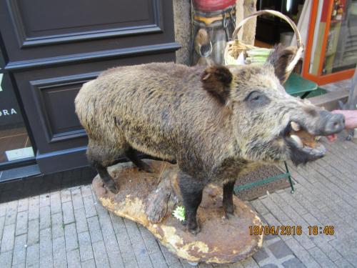 Ароматы, 11.04.2016 1760.JPG