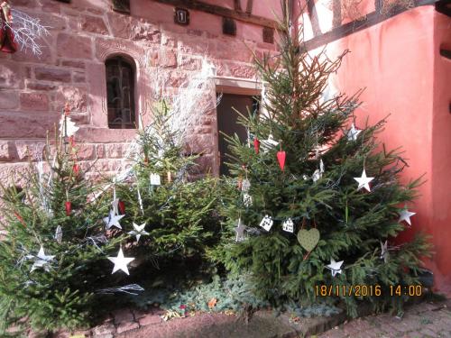 Божоле 2016 1795.JPG