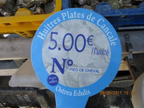 Нов. Ароматы 2 1873.JPG