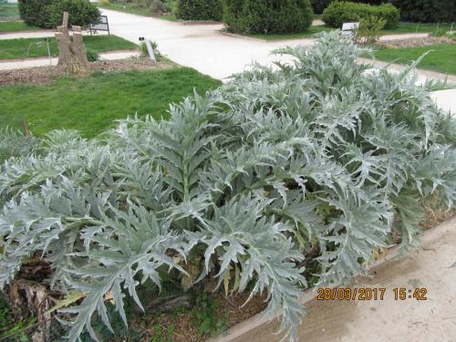 март, париж 1007.JPG