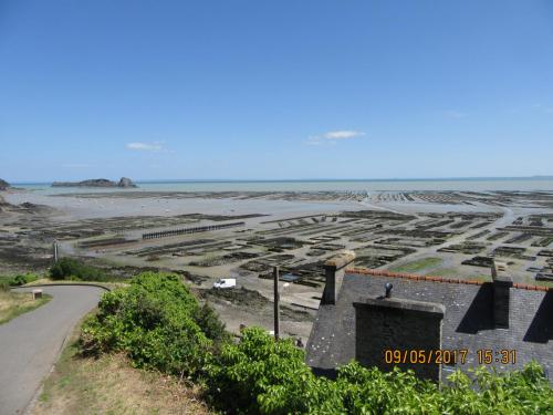 Нов. Ароматы 2 1883.JPG