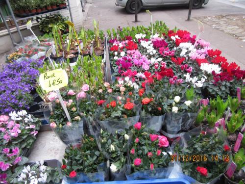 париж-2016-2017 923.JPG