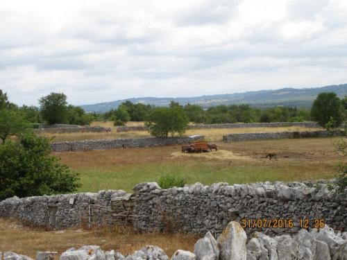 2GT 1 часть2016 696.JPG