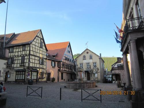 Ароматы, 11.04.2016 2270.JPG