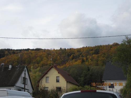 Божоле 2016 1788.JPG