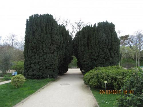 март, париж 1003.JPG