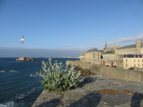 Нов. Ароматы 2 1627.JPG