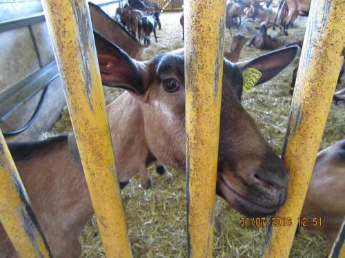 2GT 1 часть2016 701.JPG