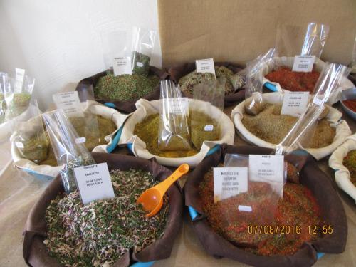 2GT 2016, 2 часть 236.JPG