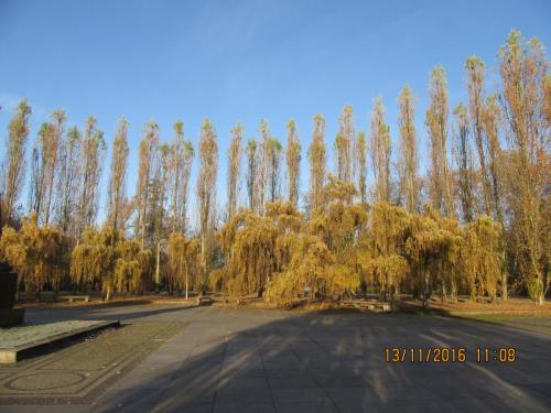 Божоле 2016 084.JPG