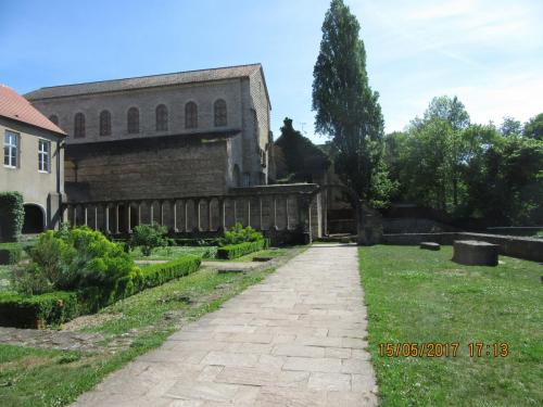 Ароматы 2 (2017) 2059.JPG