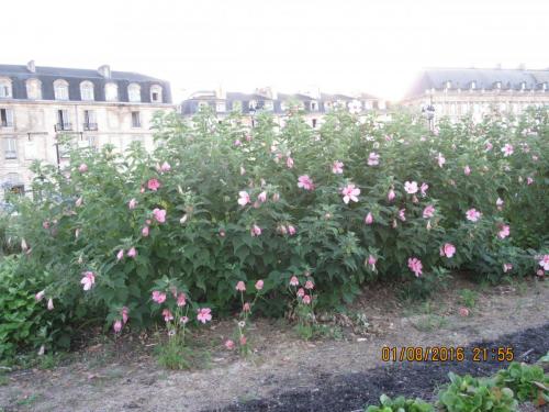 2GT 1 часть2016 1159.JPG