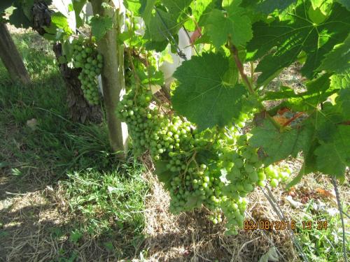 2GT 1 часть2016 1519.JPG