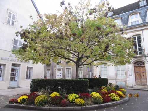 Божоле 2016 1442.JPG