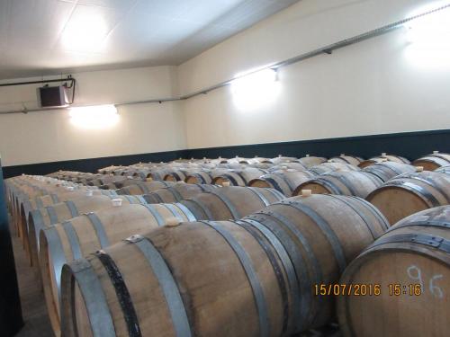 Великолепная Франция 2016 347.JPG