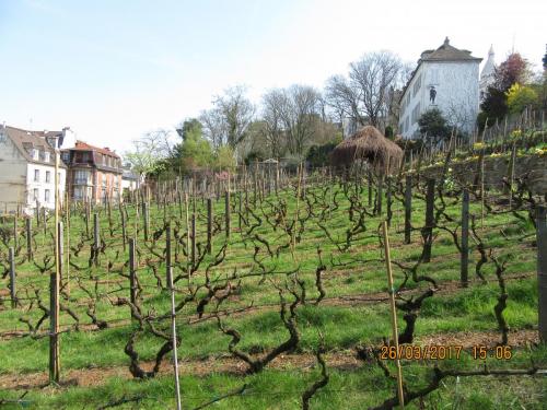 март, париж 080.JPG