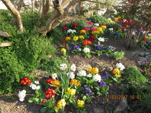 март, париж 399.JPG