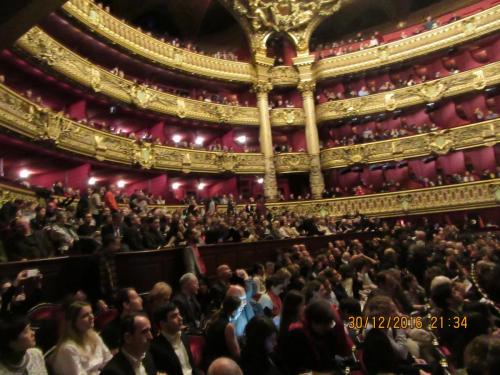 париж-2016-2017 749.JPG