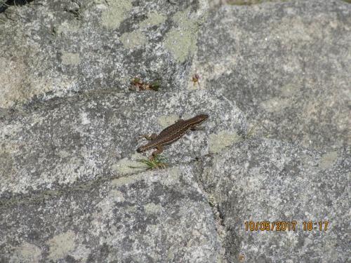 Нов. Ароматы 2 2326.JPG