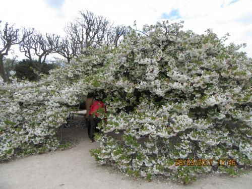 март, париж 1015.JPG