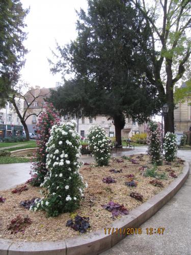 Божоле 2016 1339.JPG