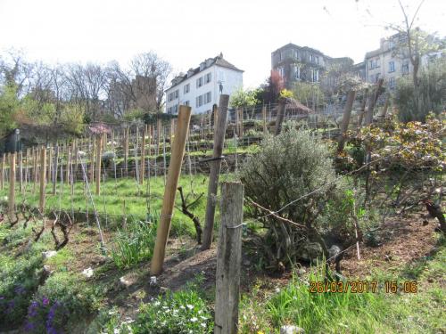 март, париж 084.JPG