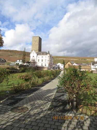 Божоле 2016 2290.JPG