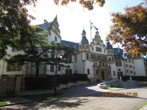 Ароматы 2 (2017) 2089.JPG