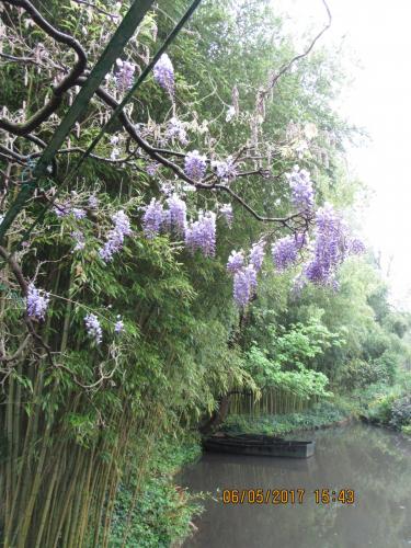 Нов. Ароматы 2 588.JPG