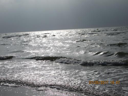 Нов. Ароматы 2 1168.JPG