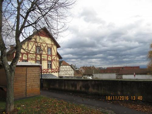 Божоле 2016 1704.JPG