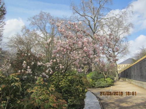 Париж март 2016 187.JPG