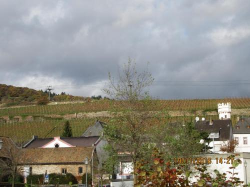 Божоле 2016 2272.JPG