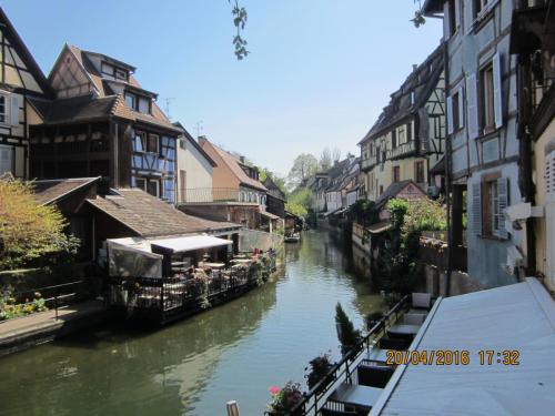 Ароматы, 11.04.2016 2015.JPG